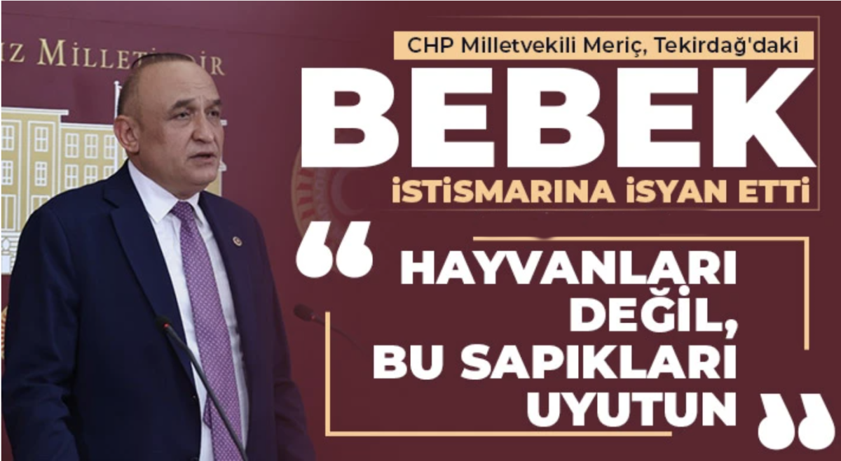 CHP Milletvekili Meriç, Tekirdağ'daki Bebek İstismarına İsyan Etti