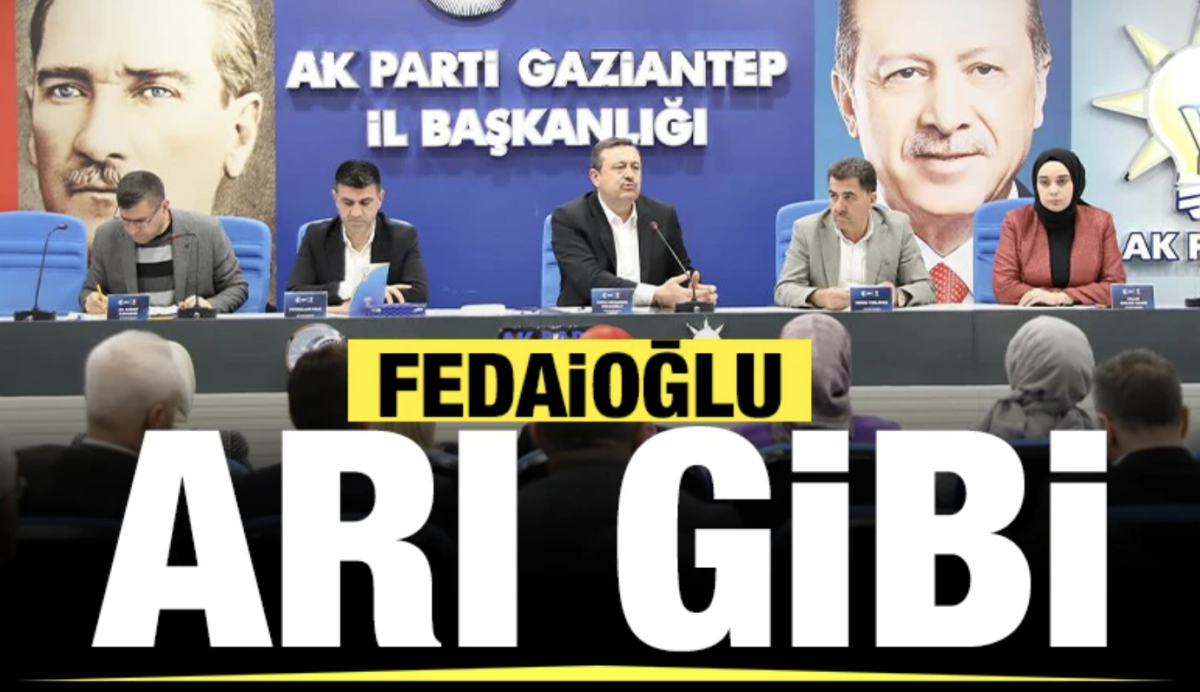 FEDAİOĞLU ARI GİBİ