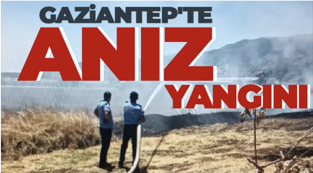 Gaziantep'te anız yangını; 45 dönüm ile ağaçlar küle döndü