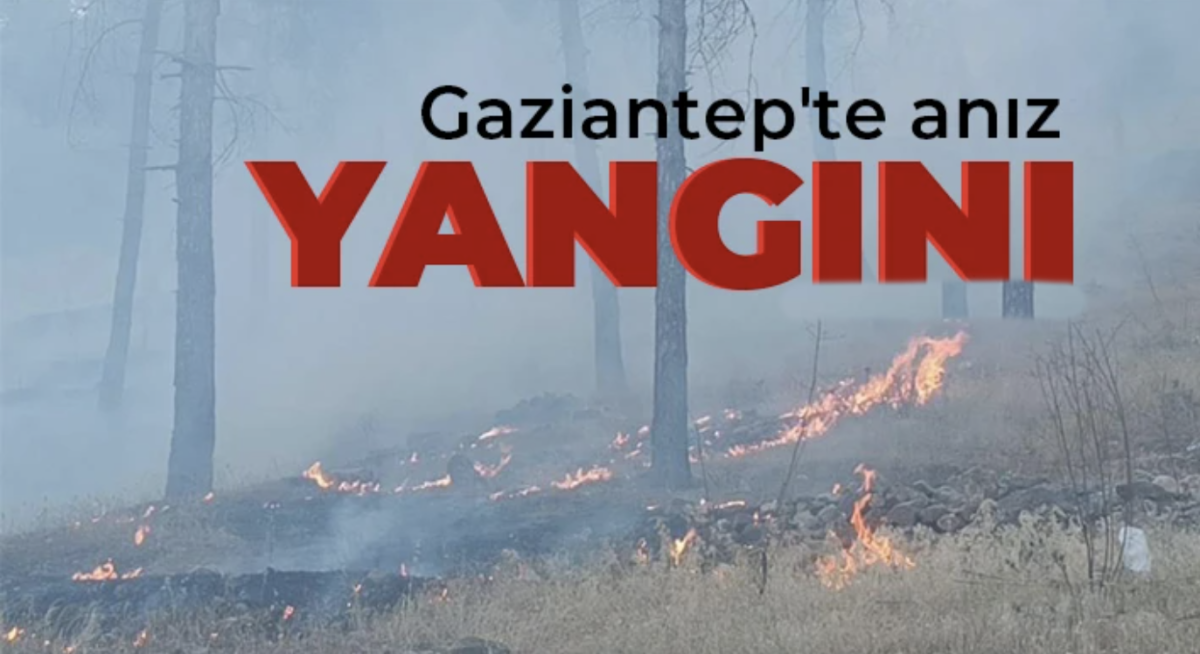 Gaziantep'te çıkan anız yangını ormana yayılmadan kontrol altına alındı