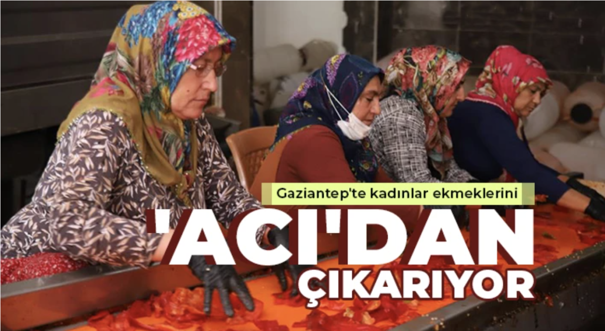 Gaziantep'te kadınlar ekmeklerini 'acı'dan çıkarıyor