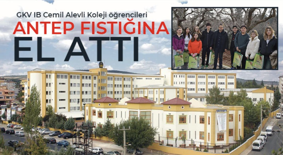 GKV IB Cemil Alevli Koleji öğrencileri Antep fıstığına el attı