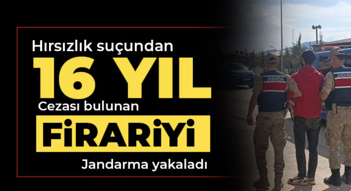 Hırsızlık suçundan 16 yıl cezası bulunan firariyi jandarma yakaladı