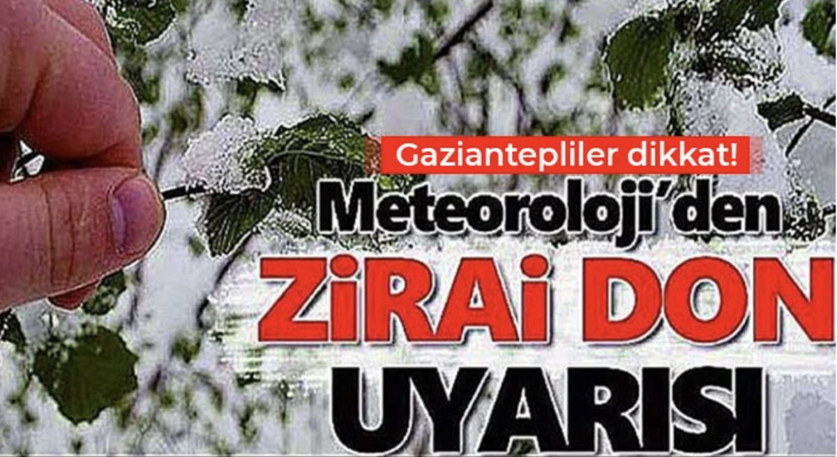 Zirai Don Uyarısı: Gaziantep'te Çiftçilere Tedbir Çağrısı