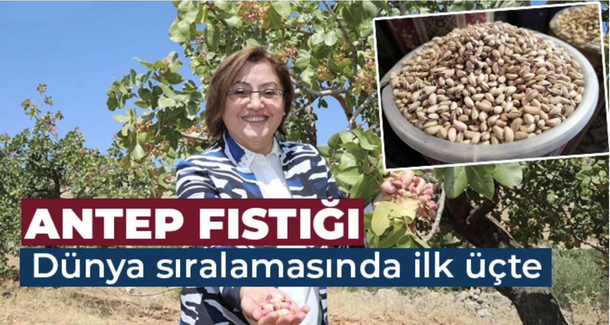 Dünyanın en iyi kuruyemişleri listesinde Antep fıstığı ikinci sırada