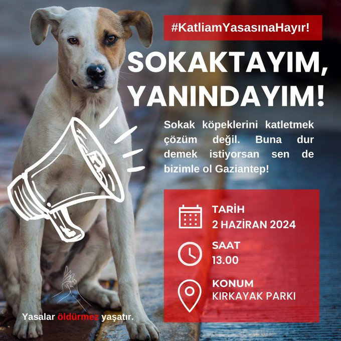 Gaziantep’te sokak hayvanları için hayvanseverler yarın eylem yapacak.